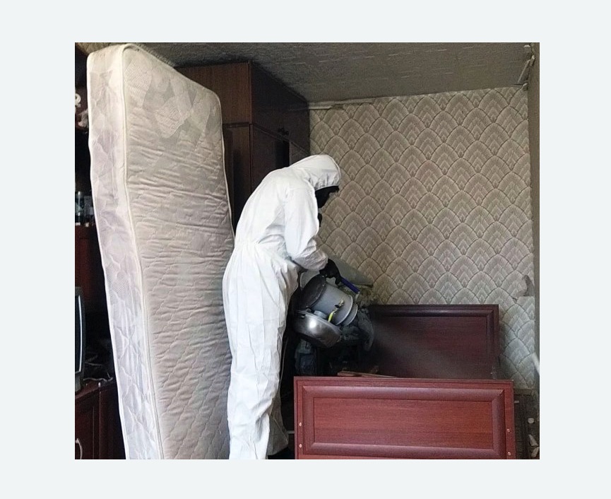 дезинфекция от клопов дезинфекция от клопов в Москворечье-Сабурово города Москвы